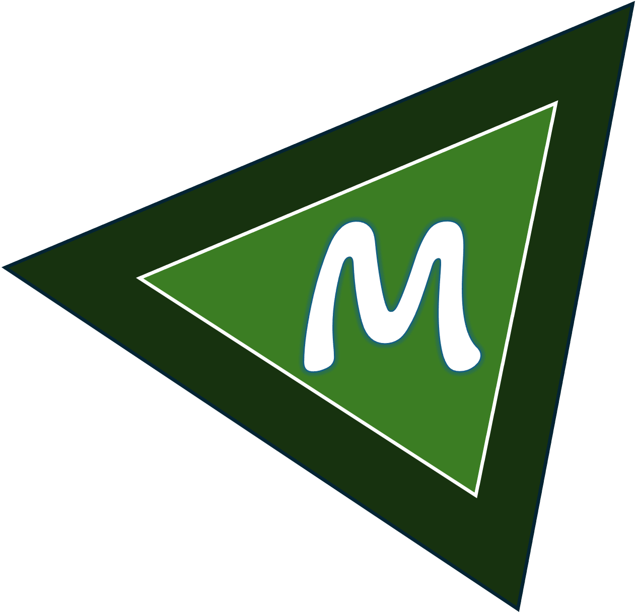 Product Leadership: B2B2C Smart Mobility SaaS Platform